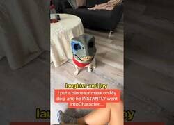 Enlace a Cuando le pones una máscara de dinosaurio a tu perro y se mete demasiado en el personaje