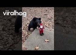 Enlace a Osos reaccionan un Papá Noel bailarín