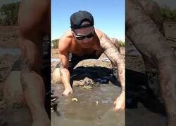 Enlace a Hay que ir con cuidado por donde pisas