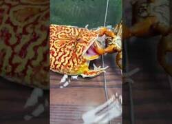 Enlace a El cangrejo que no quería ser comido por un sapo