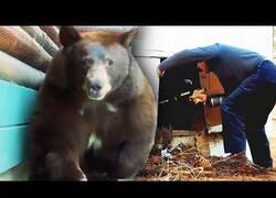 Enlace a Un hombre ahuyenta a un oso con una pistola de paintball