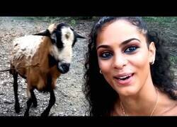 Enlace a Los mejores 'fails' de la década