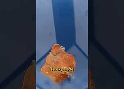 Enlace a ¿Puede este vidrio soportar la lava?