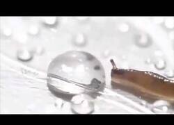 Enlace a Cuando intentas beber agua, pero el agua te bebe a ti