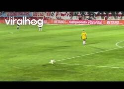 Enlace a Perro inquieto interrumpe un partido de fútbol