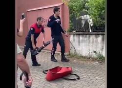 Enlace a El perro troll que fingió estar atrapado