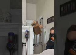 Enlace a Karma actuando contra este gato