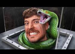 Enlace a MrBeast te paga 800.000$ por enfrentarte a tus miedos