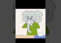 Enlace a Problemas animales