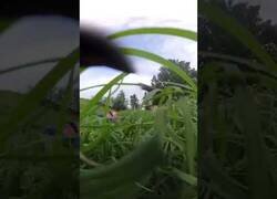 Enlace a La peor pesadilla de un biker de montaña