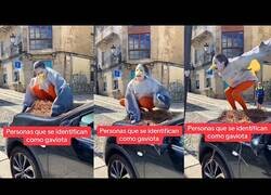 Enlace a La mujer que se identifica como una gaviota