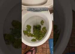 Enlace a Así son los baños en Australia