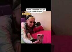 Enlace a Perrito sonríe cada vez que le sacan una foto
