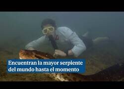 Enlace a Descubren la especie de anaconda más grande hasta el momento