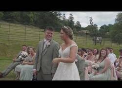 Enlace a Una vaca interrumpe una boda