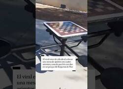 Enlace a Error de asientos en Roquetas de Mar