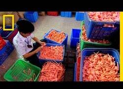 Enlace a ¿Cómo se fabrican las muñecas de plástico?