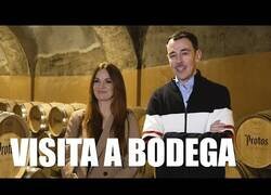 Enlace a Visita a Bodega