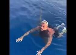 Enlace a ¡No mires y mantén la calma!