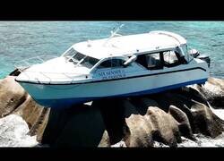 Enlace a Idiotas haciendo el idiota