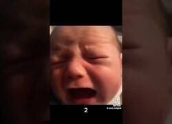 Enlace a ¿Qué grito es real?