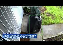Enlace a Roba un paquete de amazon disfrazado de bolsa de basura