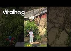 Enlace a La ardilla que robó un huevo de pascua