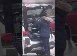 Enlace a Intenta robar el carro de una lavandería pero el karma actúa instantáneamente