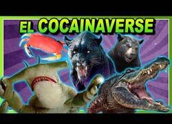 Enlace a Películas protagonizadas por animales drogadictos