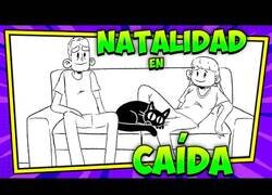 Enlace a ¿Por qué los jóvenes no tienen hijos?
