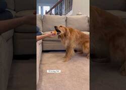 Enlace a Se hace el dormido con queso en la mano delante de su perro