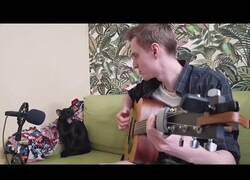 Enlace a El blues de Misifú