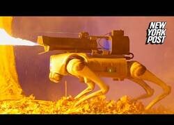Enlace a Thermonator, el primer perro robot con lanzallamas