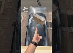Enlace a El mejor protector para tu coche