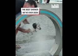 Enlace a Perro recibe un baño en una playa de Málaga