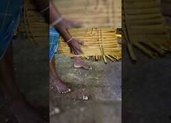 Enlace a Así se obtiene la canela