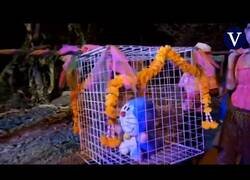 Enlace a En Tailandia 'sacrifican' a Doraemon para invocar la lluvia
