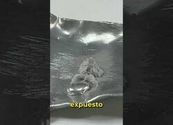 Enlace a ¿Qué pasa si mezclas Mercurio y Aluminio?
