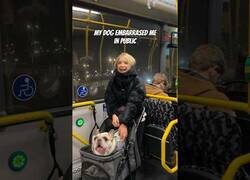 Enlace a Cuando tu perro te avergüenza en público