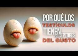 Enlace a Preguntas sin respuesta sobre el Cuerpo Humano