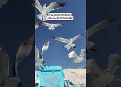 Enlace a Cuando intentas comerte una ensalada en la playa