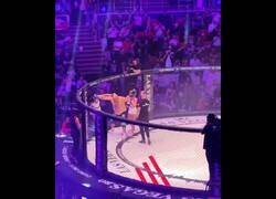 Enlace a Los combates de MMA en Rumanía son realmente extraños