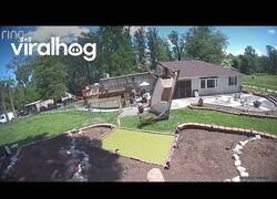 Enlace a Cuando el viento te reorganiza el jardín