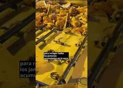 Enlace a Un camión con 30 toneladas de jamones vuelca en la carretera