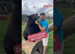 Enlace a Reacción de diferentes animales al ser abrazados