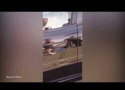 Enlace a Cuando una araña no te deja entrar en tu coche
