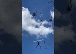 Enlace a Mientras tanto, en una calle cualquiera de Australia