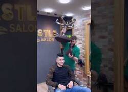 Enlace a Fauna 'random' vista en la peluquería