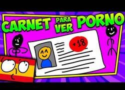 Enlace a ¿Cómo funcionará el 'Pajaporte' del que tanto se habla en España?