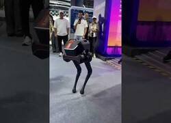 Enlace a Personas 'hacen bullying' a un robot para comprobar su estabilidad